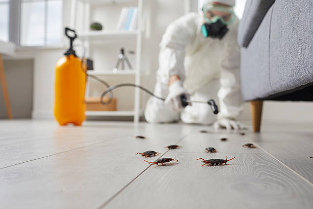 Commercial Rodent Management in Lexington